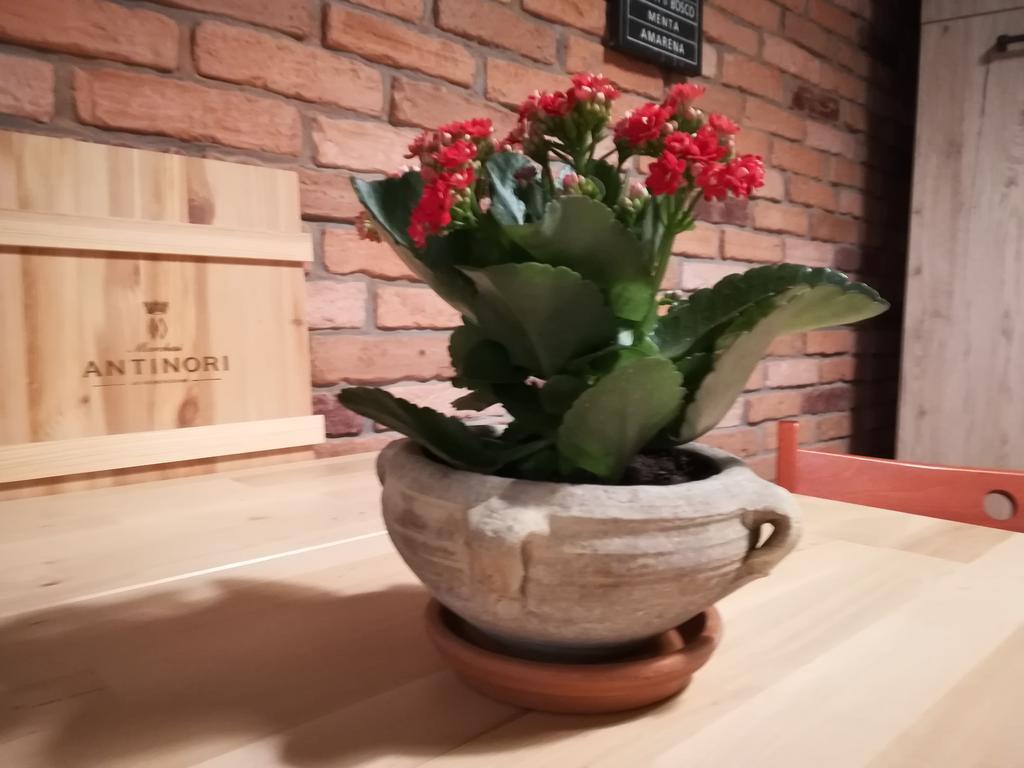 Cirasa Ferienhaus